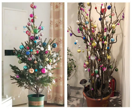 Набор ёлочных игрушек