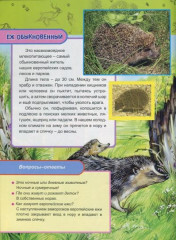 Животные и птицы Европы - Фото 1