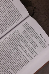 Жук Джек Баррон. Солариане - Фото 8