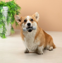 Игрушка для собак - Фото 10