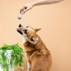 Игрушка для собак - Фото 11