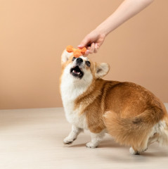 Игрушка для собак - Фото 11