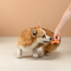 Игрушка для собак - Фото 12