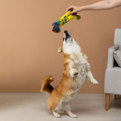 Игрушка для собак - Фото 13