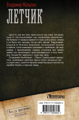 Лётчик. Дотянуть до горизонта - Фото 2