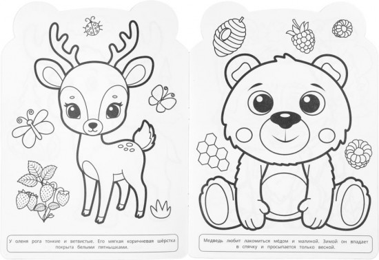 Раскраска «Животные леса»