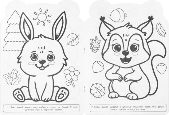 Раскраска «Животные леса»