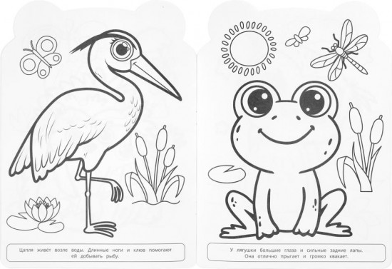 Раскраска «Животные леса»