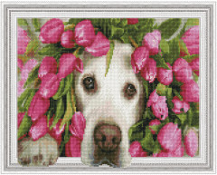 Картина-мозаика 3D с нанесенной рамкой «Лабрадор в тюльпанах» - Фото 1