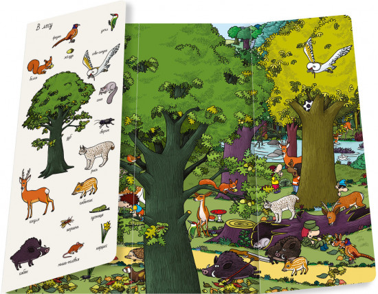 На природе. Найди и покажи