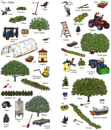 На ферме. Найди и покажи