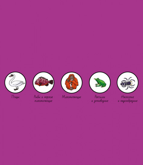 Найди и покажи. Мир животных