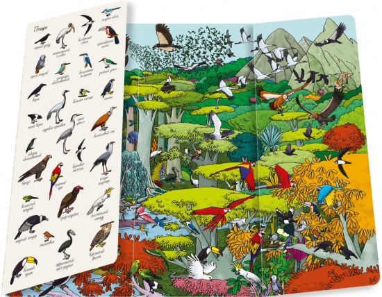 Найди и покажи. Мир животных