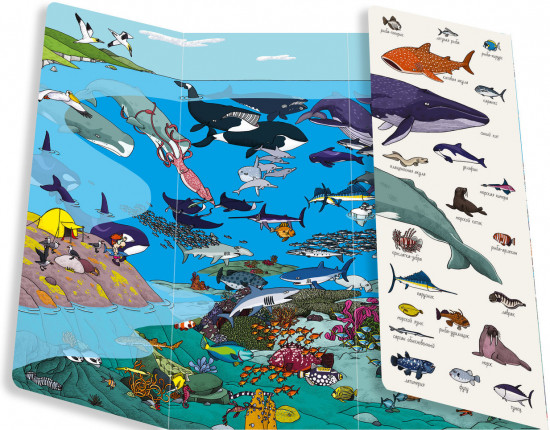 Найди и покажи. Мир животных