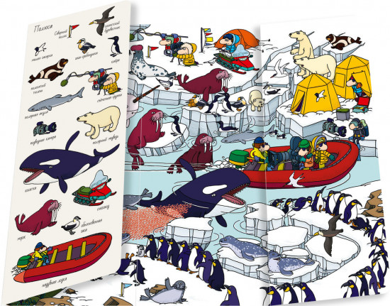 Океаны. Найди и покажи