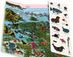 Океаны. Найди и покажи - Фото 2