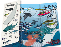 Океаны. Найди и покажи - Фото 3