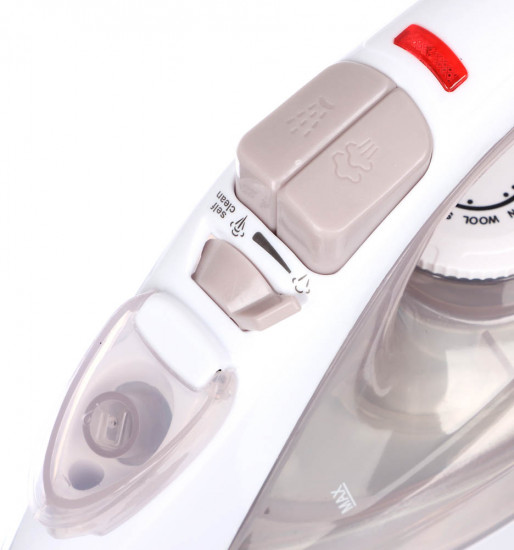 Утюг с отпаривателем