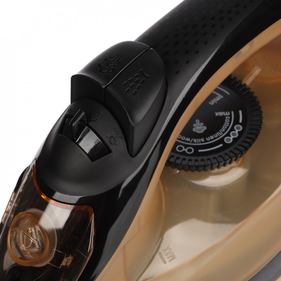 Утюг с отпаривателем