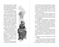 Хозяйка магической лавки. Книга 3 - Фото 9