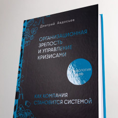 Организационная зрелость и управление кризисами. Как компания становится системой - Фото 4