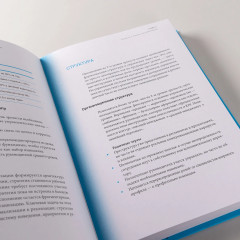 Организационная зрелость и управление кризисами. Как компания становится системой - Фото 7