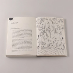 100 слов не только про Артек. Заметки директора, педагога, человека - Фото 6