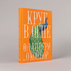 Круг в огне - Фото 1