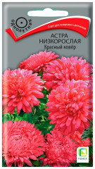 Семана астры низкорослой «Красный ковер» - Фото 2