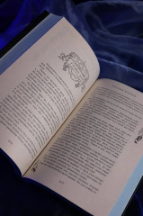 Чёрный клинок - Фото 8