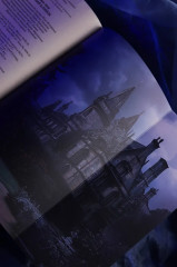 Чёрный клинок - Фото 10