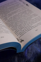 Чёрный клинок - Фото 13