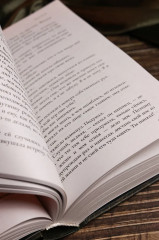 Дитя Чумного края - Фото 11