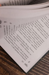 Дитя Чумного края - Фото 12