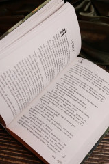 Дитя Чумного края - Фото 13