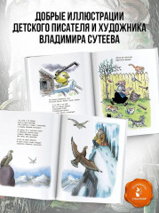 Сказки К. Чуковского в рисунках В. Сутеева - Фото 4