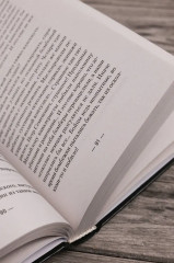 Комбриг. Сентябрь 1939-го - Фото 6