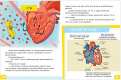 Подарок для почемучки. Тело человека - Фото 2