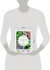 Аптечный огород. Справочник по сбору, хранению и применению целебных растений (новое оформление) - Фото 3