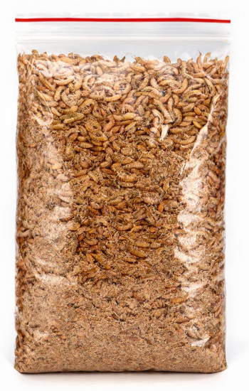 Корм для рыб и черепах «Гаммарус тушка»