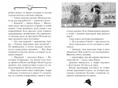 Агата Мистери. Книга 33. Скандал вокруг Нобелевской премии - Фото 12