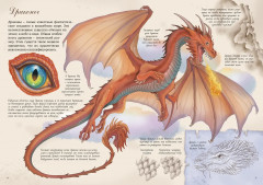 Волшебные существа. Энциклопедия - Фото 10