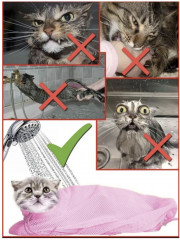 Сетка-фиксатор для ухода за кошками - Фото 4