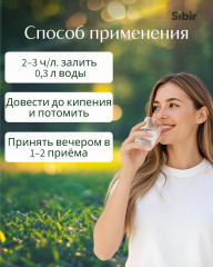 Папоротника мужского корни - Фото 2