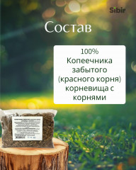 Копеечник забытый (Красный корень), корневища с корнями - Фото 3