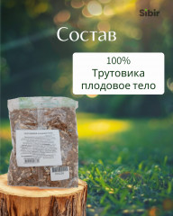 Трутовика плодовое тело - Фото 3