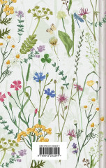 Поллианна взрослеет - Фото 1