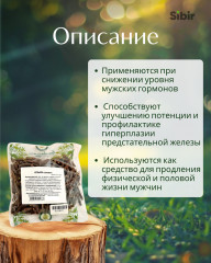 Ольхи сережки - Фото 1