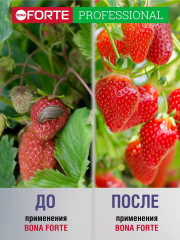 Инсектицид от слизней и улиток - Фото 4