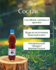 Уксус фруктово-ягодный из яблок, калины и аронии - Фото 3